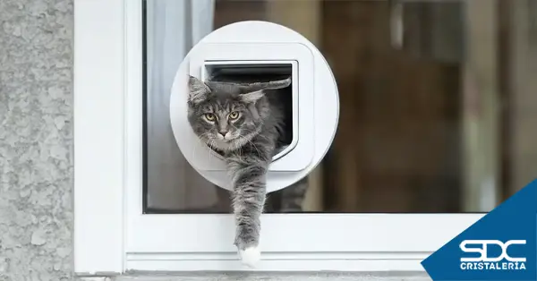 Gateras para puertas de Cristal Madrid